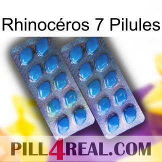 Rhinocéros 7 Pilules viagra2